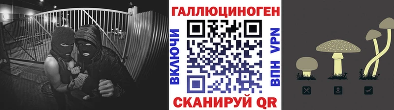 Псилоцибиновые грибы прущие грибы  что такое наркотик  Лермонтов 